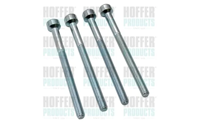 Skrue - Indsprøjtningsdyseholder Hoffer 98508