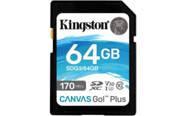 Kingston Canvas Go Plus Sdxc 64gb 170mb S