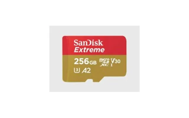 Sandisk Extreme Microsdxc 256gb 190mb S