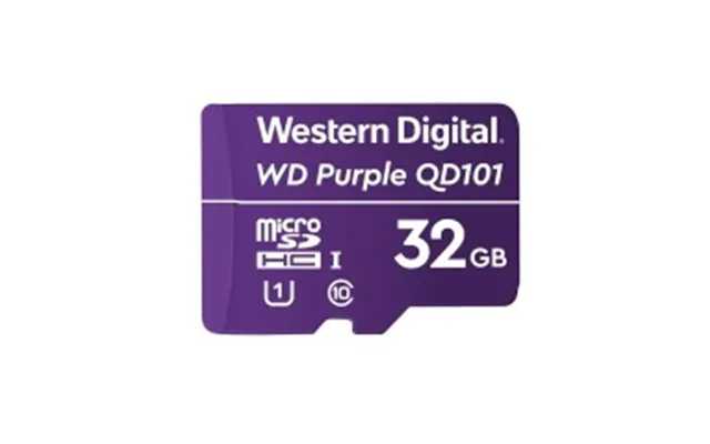 Western Digital Wd Purple Sc Qd101 Memory