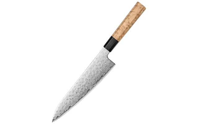 Ao B Zu Gyuto 210 Mm Japansk Kokkekniv Blue 2 Aogami 2 & Damaskus49