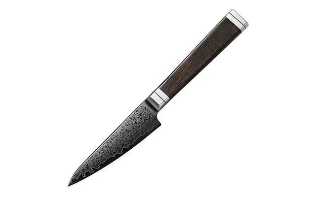 Enenra Paring 105 Mm Japansk Urtekniv Rinzen 1 & Sort Damaskus67