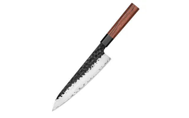 Tanuki Gyuto 210 Mm Japansk Kokkekniv Rinzen 2
