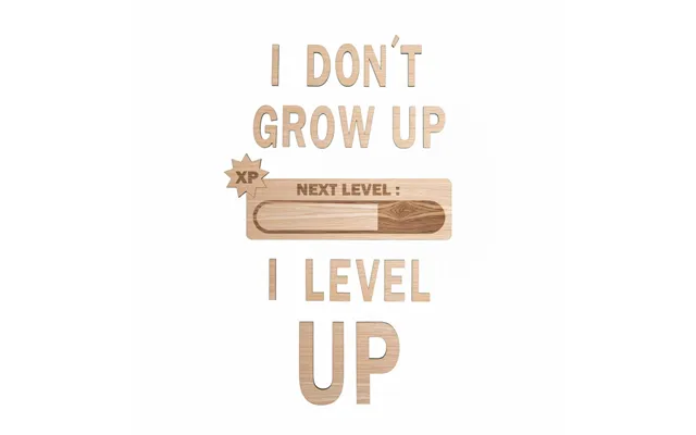 Citat Sæt - I Don't Grow Up I Level Up