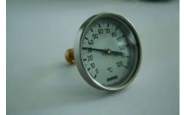 65 Mm Rueger Termometer 50 Mm Føler