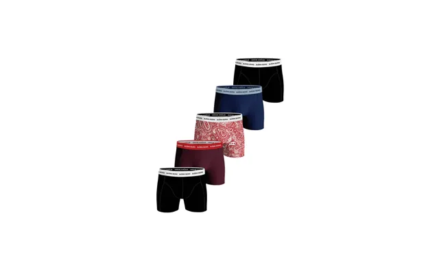 Björn Borg 5-pak Boxershorts Large