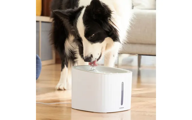 Drikkevandsfontæne Til Kæledyr Frisk Vand Til Katte Og Hunde