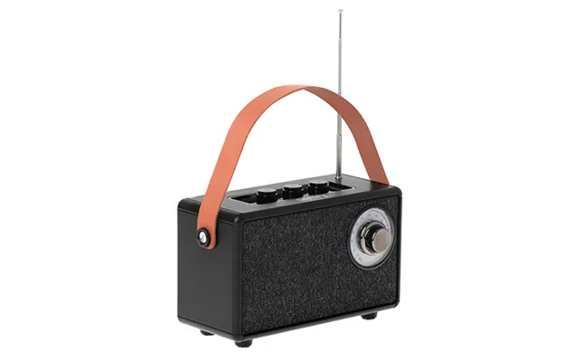 Sort Fm Radio Med Bluetooth