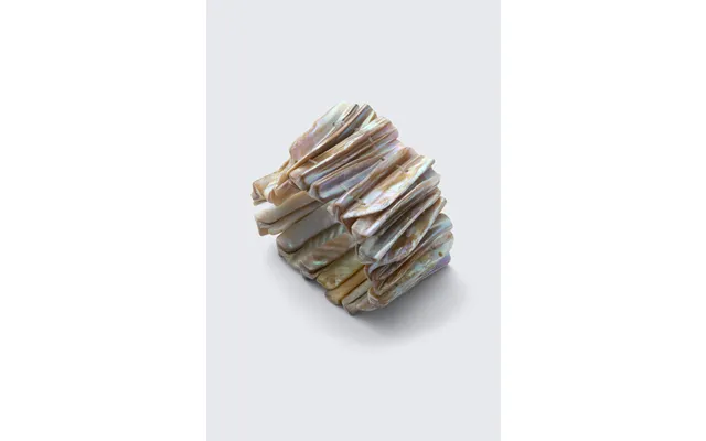 Shell Bracelet