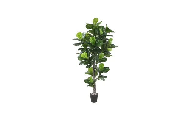 Violinfigen Green