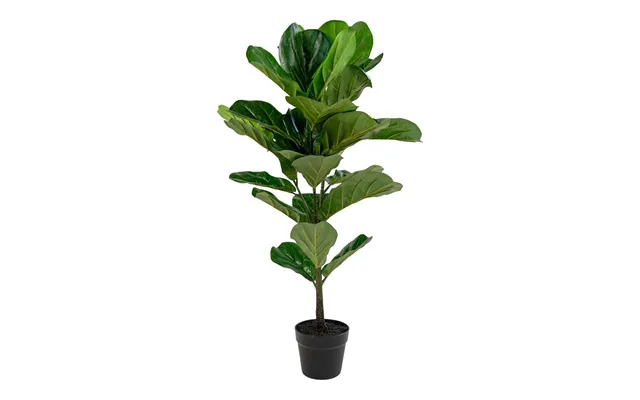 Fiddle Violinfigen Kunstige Plante - 100cm