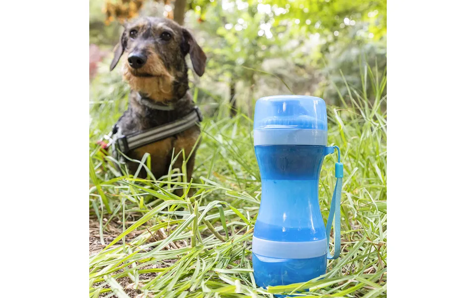 Bottle with container to water past, the laws food to pets 2 in 1 pettap innovagoods