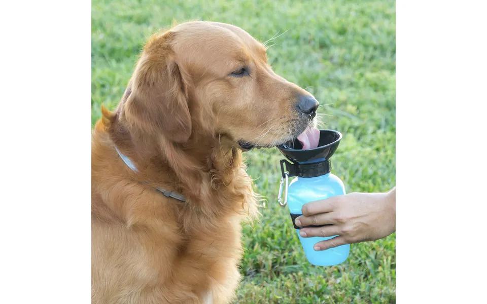 Water dispenser bottle to dogs innovagoods