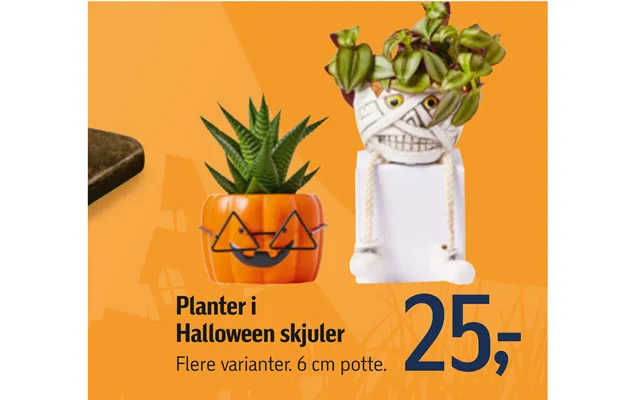 Plants in halloween hides product image