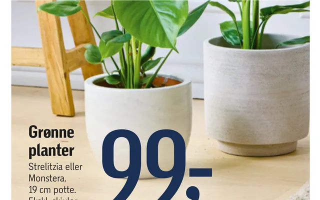 Grønne Planter product image