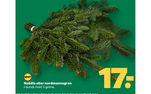 Nobilis or nordmann fir product image