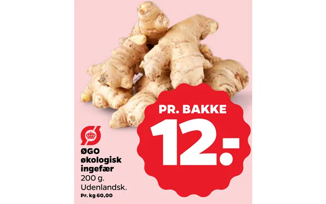 Øgo organic ginger product image