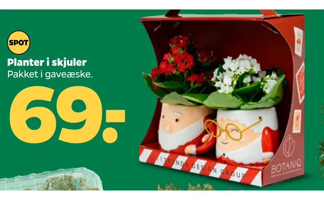 Planter I Skjuler product image