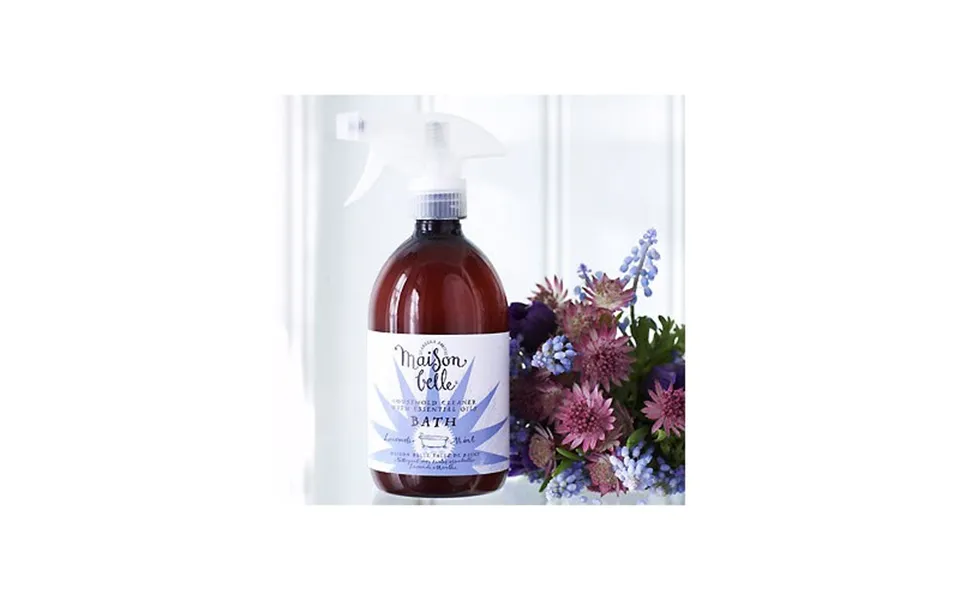 Boat cleaning lavender-mint - 500 ml