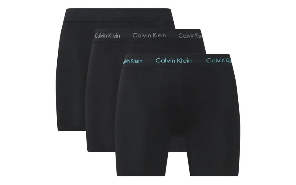 Calvin klein 000nb1770amxt underpants black