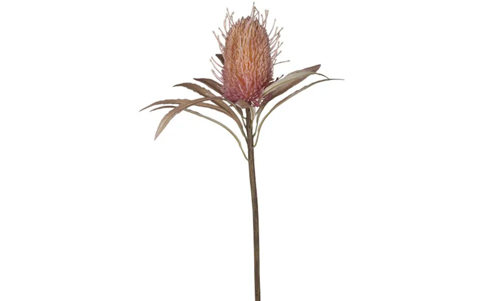 Chic antique banksia flower - pink