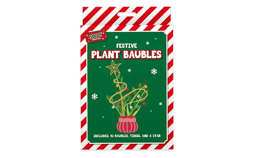Jolly Chrismas Festive Plant Decoration Kit