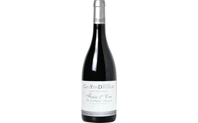 Domaine Guy & Yvan Dufouleur Fixin Premier Cru Clos Du Chapitre Monopole 2020