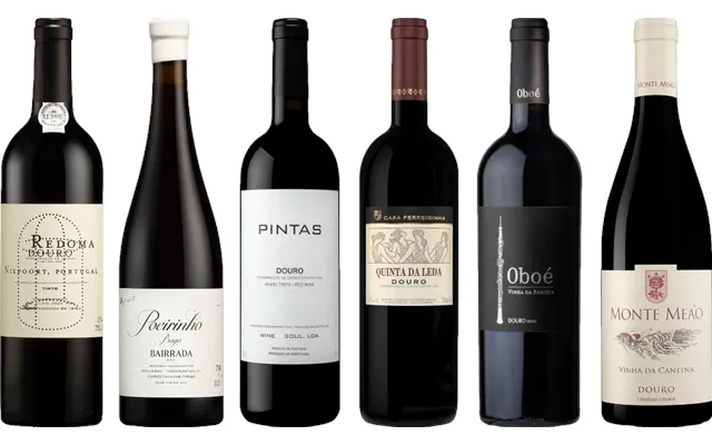 Douro Red Premium Tasting Case