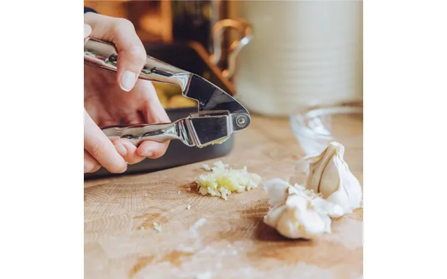 Stainless Steel Garlic Press By Stellar