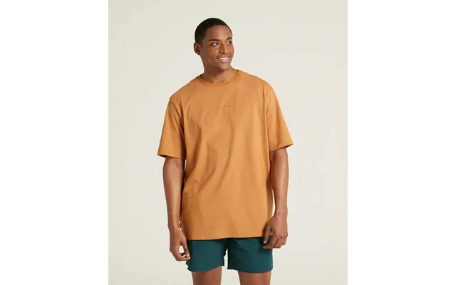 Mens Relaxed Fit Tee - Toasty product image