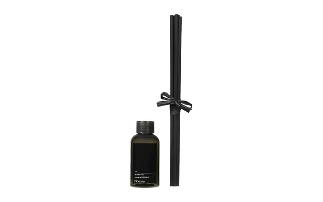 Blomus Fraga Fragrance Sticks Refill 100 Ml Fig product image