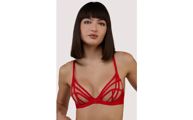 Ramona Red Strap Detail Illusion Sheer Plunge Bra 30ff