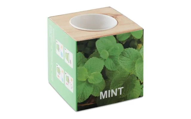 Eco Friendly Merch Herb Pot Wood Mint Wood Custom Branded Merch With Logo For Bulk Corporate Gifts