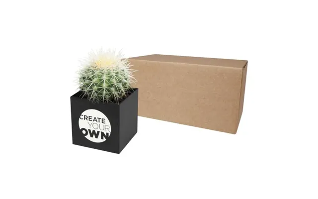 Eco Friendly Merch Hey Pots Aluminium Planted Pot - Cactus Solid Black Custom Branded Merch With Logo For Bulk Corporate