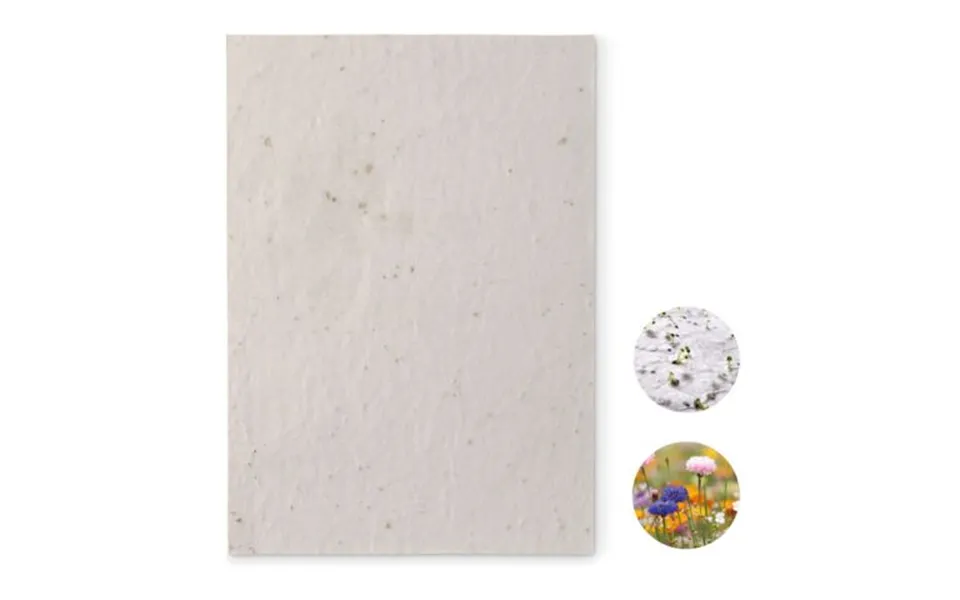 Promotional A5 Wildflower Seed Paper Sheet White Branded With Your Logo