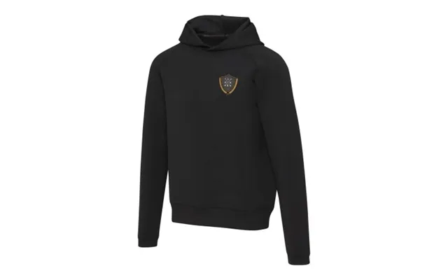 Promotional Danali Unisex Interlock Sports Hoodie Solid Black Branded With Your Logo product image