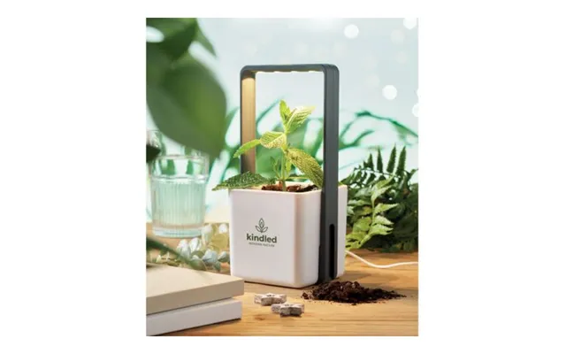 Promotional Indoor Garden With Led Light White Custom Branded Merch With Logo For Bulk Corporate Gifts