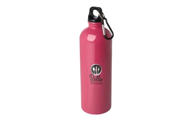 Promotional Oregon 750 Ml Rcs Certified Single Wall Stainless Steel Water Bottle With Carabiner Magenta Branded With You
