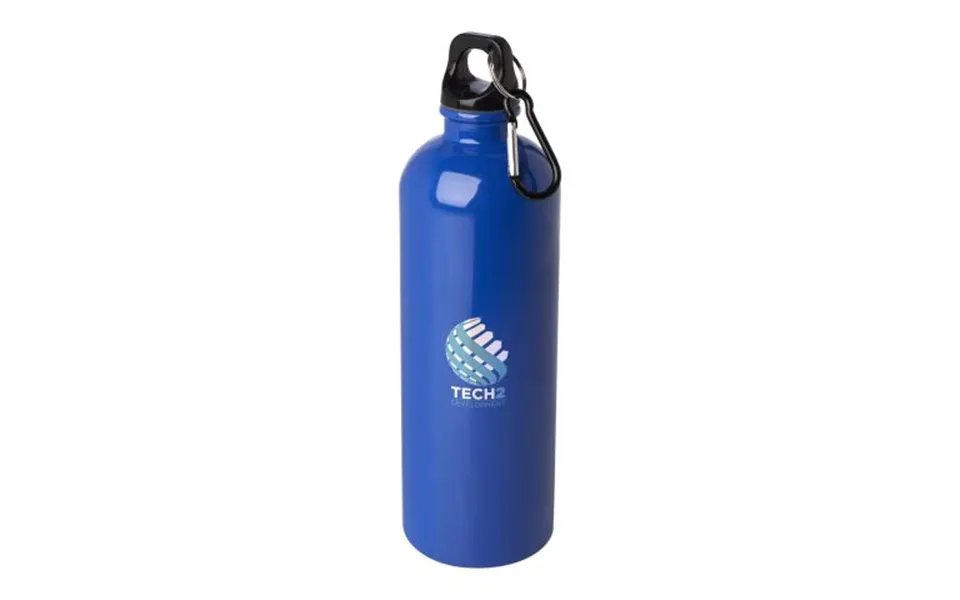 Promotional Oregon 750 Ml Rcs Certified Single Wall Stainless Steel Water Bottle With Carabiner Royal Blue Branded With 