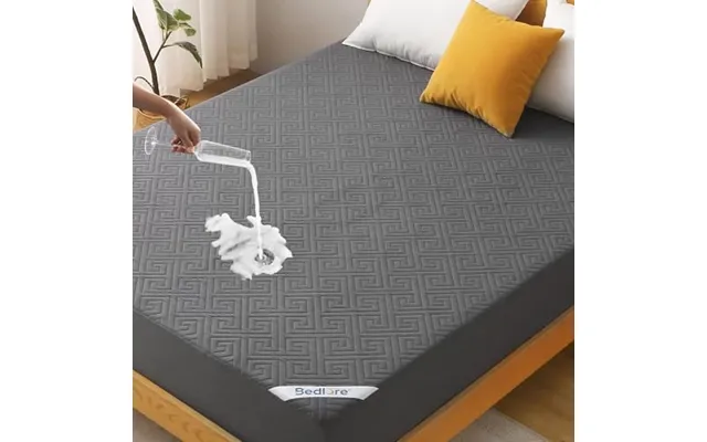 Bedlore Waterproof Double Mattress Protector - Breathable Tpu