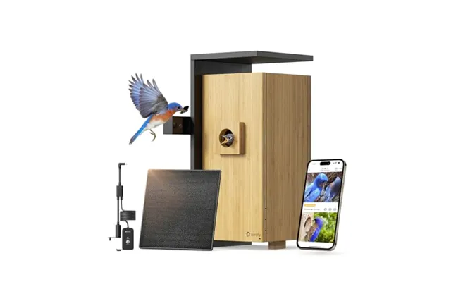 Birdfy Smart Bird Box With Dual 1080p Cameras - Ai Identify Lifetime Free 5w Solar 9000mah Battery