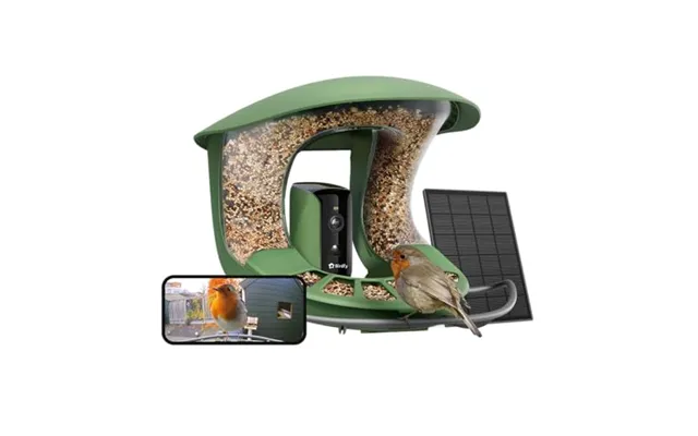Birdfy Upgraded Bird Feeder Camera - Bird Watching Camera Auto Identify