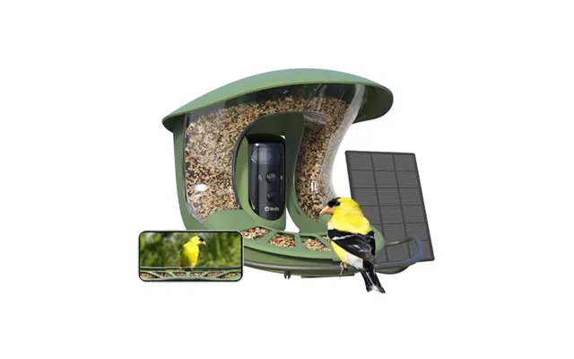 Birdfy Upgraded Bird Feeder Camera With Dual-lens - Auto-trace