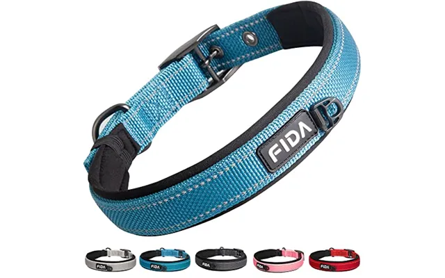 Fida Padded Dog Collar - Metal Belt Buckle Dog Collar For Medium Dogs