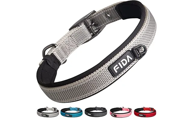 Fida Padded Dog Collar - Metal Belt Buckle Dog Collar For Medium Dogs