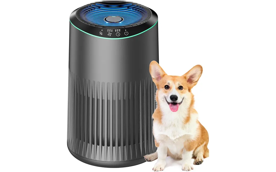Meronte Air Purifiers For Home - Air Purifier For Smoke Pet Dander Odors With Fragrance Sponge