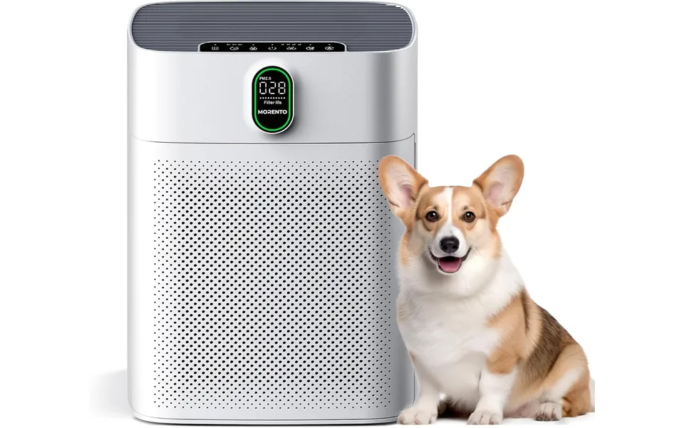 Morento Air Purifiers For Bedroom Home Large Room Up To 1076 Sq Ft With Pm 2