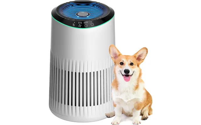 Morento Air Purifiers For Home - Air Purifier For Smoke Pet Dander Odors With Fragrance Sponge