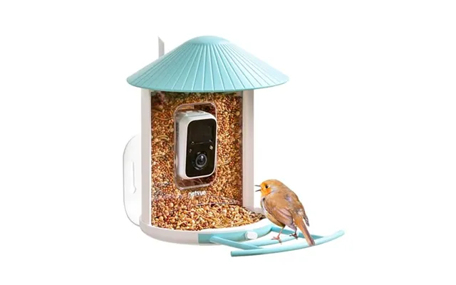 Netvue Smart Feeder With Camera - Ai Auto Capture Each Come & Identify 6000 Species