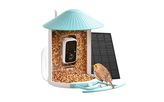 Netvue Smart Feeder With Camera & Solar Panel - Ai Auto Capture Each Come & Identify 6000 Species